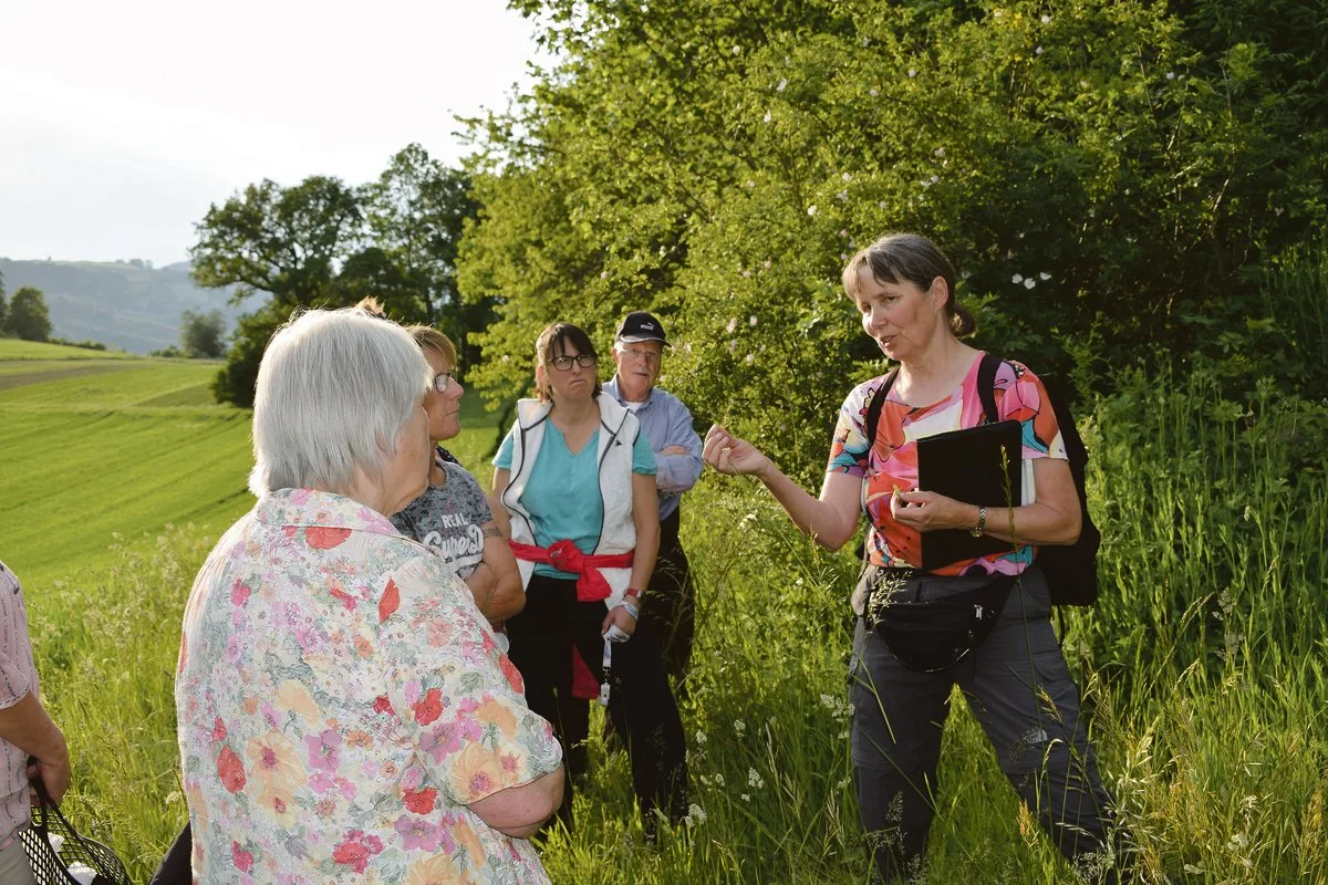 fe9ff3deb38519228fa042a17a6ff5da315de28f Heidi Kohler erklärt den Landfrauen aus Gerzensee, was alles in der Hecke wächst und gedeiht, zeigt den Nutzen der verschiedenen Pflanzen und Strukturen. Auch Steinhaufen und Totholz haben hier wichtige Aufgaben. (Bild Daniela Joder)
