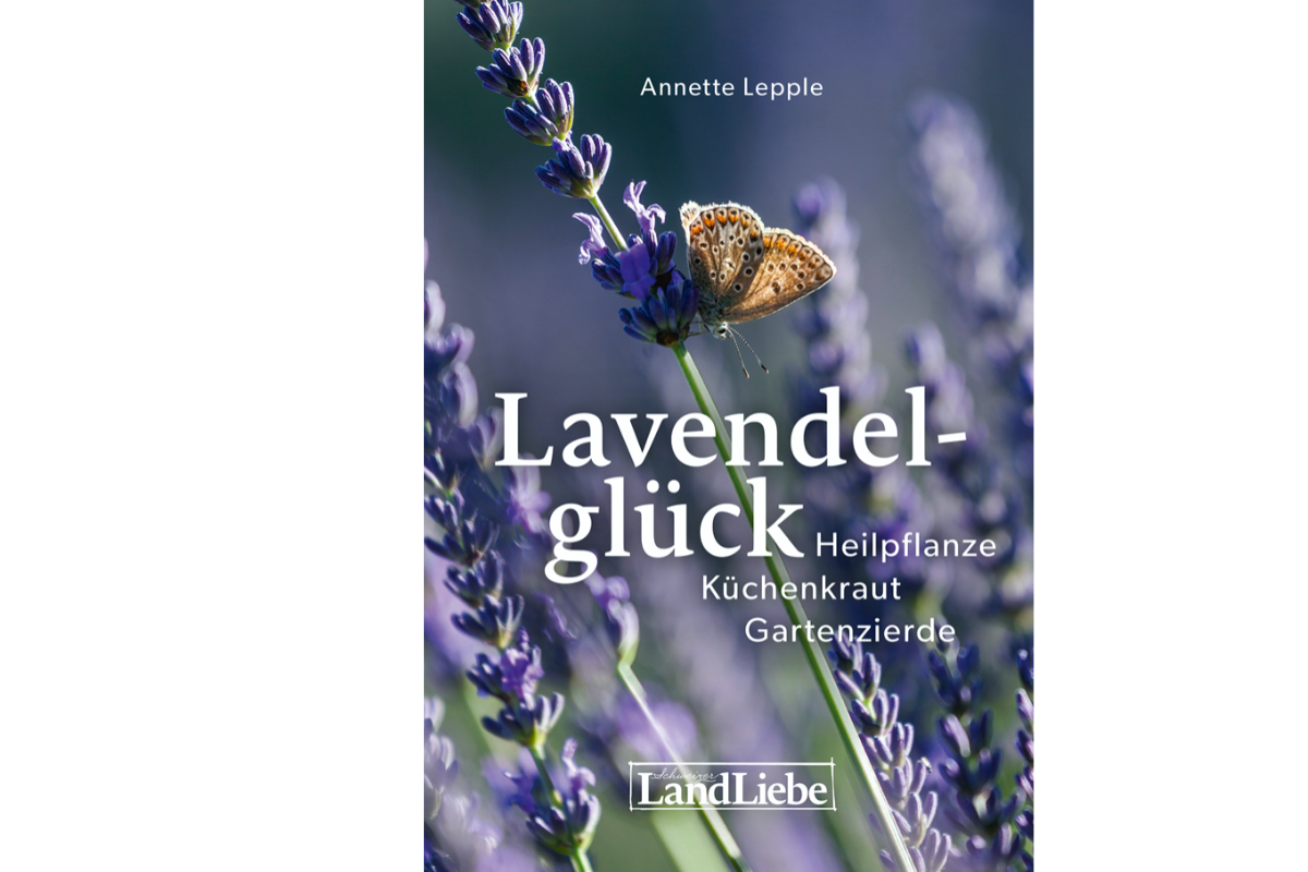 «Lavendelglück» von Annette Lepple – ein Buch über das blaue Gold