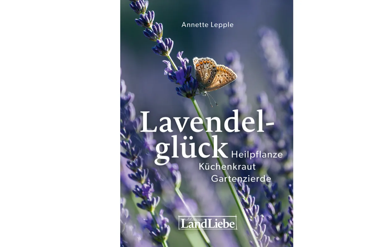 Buchtipp-Lavendelglueck «Lavendelglück» von Annette Lepple – ein Buch über das blaue Gold