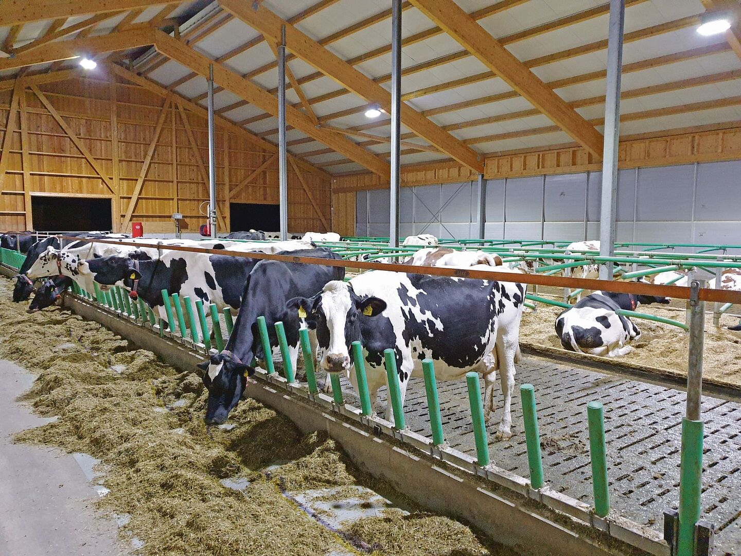 Gülle wird häufig unterhalb von Gängen und Laufhöfen zwischengelagert. Vor allem beim Aufrühren in Innenbereichen ist die Lüftung entscheidend.