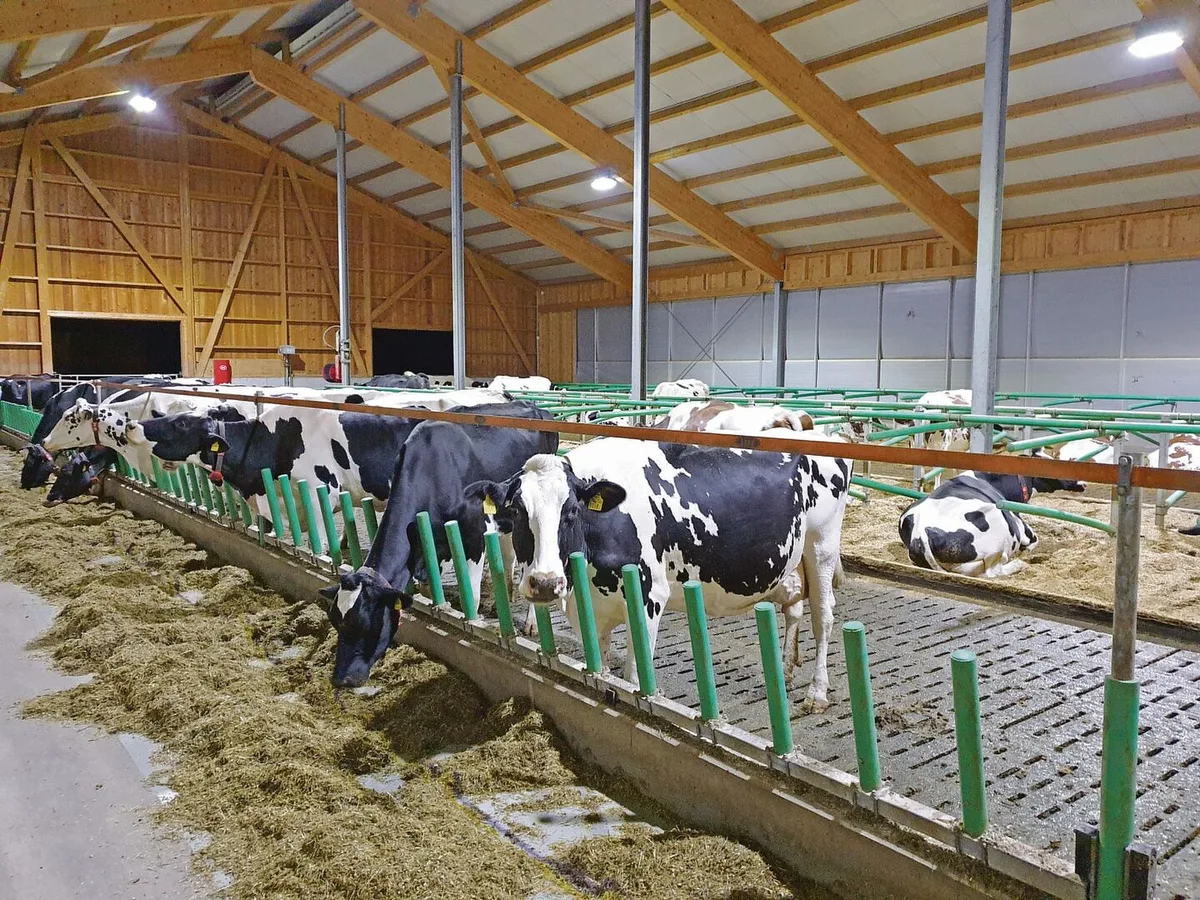 191c1e95ff7d8e488b01d1ed402c79ae20796d86265414ca722dd3bf45e9b785 Gülle wird häufig unterhalb von Gängen und Laufhöfen zwischengelagert. Vor allem beim Aufrühren in Innenbereichen ist die Lüftung entscheidend.