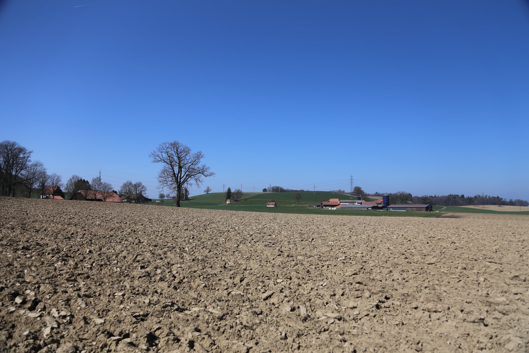 «Es gibt kaum mehr einen Betrieb ohne Pachtland»