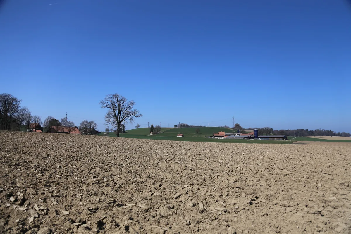 «Es gibt kaum mehr einen Betrieb ohne Pachtland»