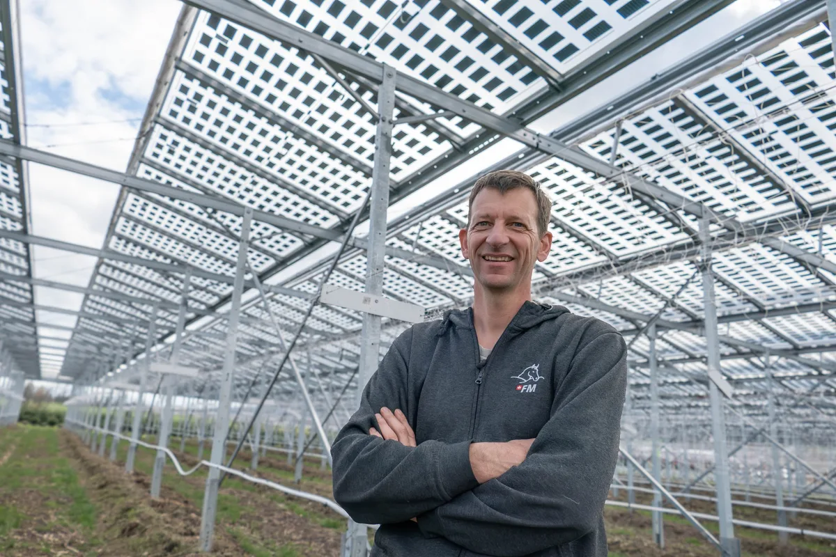 2024_heinz_schmid_eppenberger_lid_1 Heinz Schmid kombiniert Himbeeren mit Solarstrom