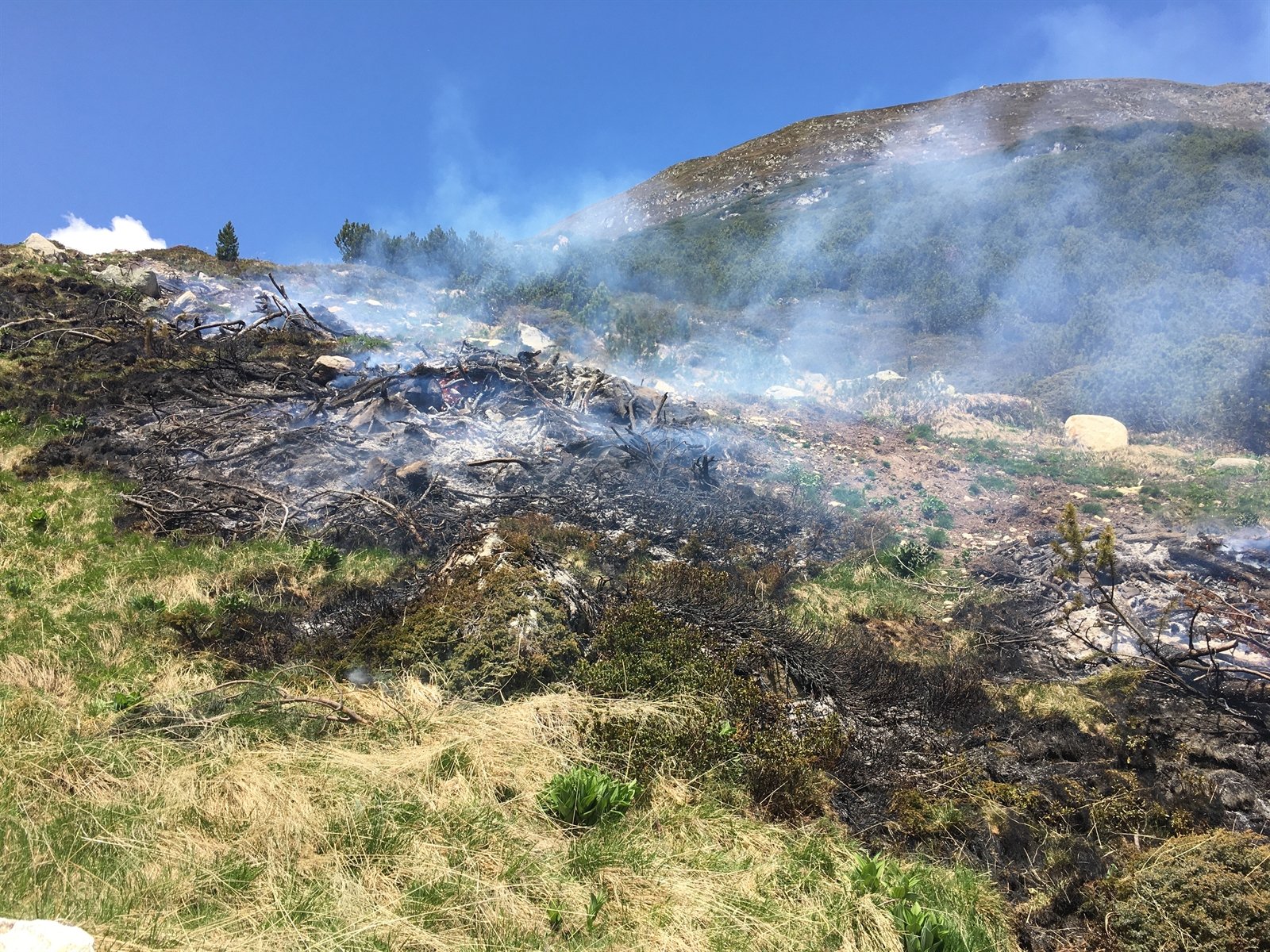 Im bündnerischen Susch hat ein Brand Weideland beschädigt