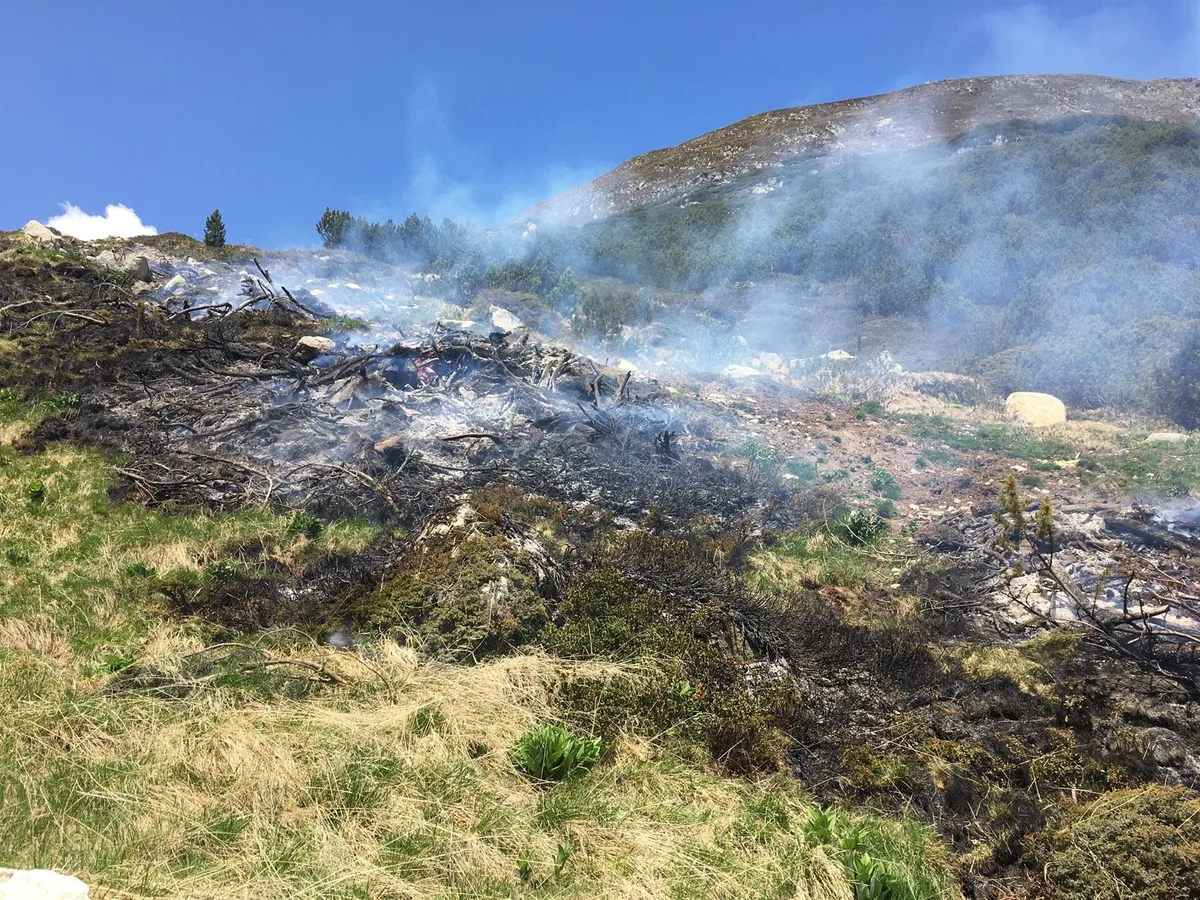 2023-05.27_Brand_Cantsura___w_1600__h_0 Im bündnerischen Susch hat ein Brand Weideland beschädigt