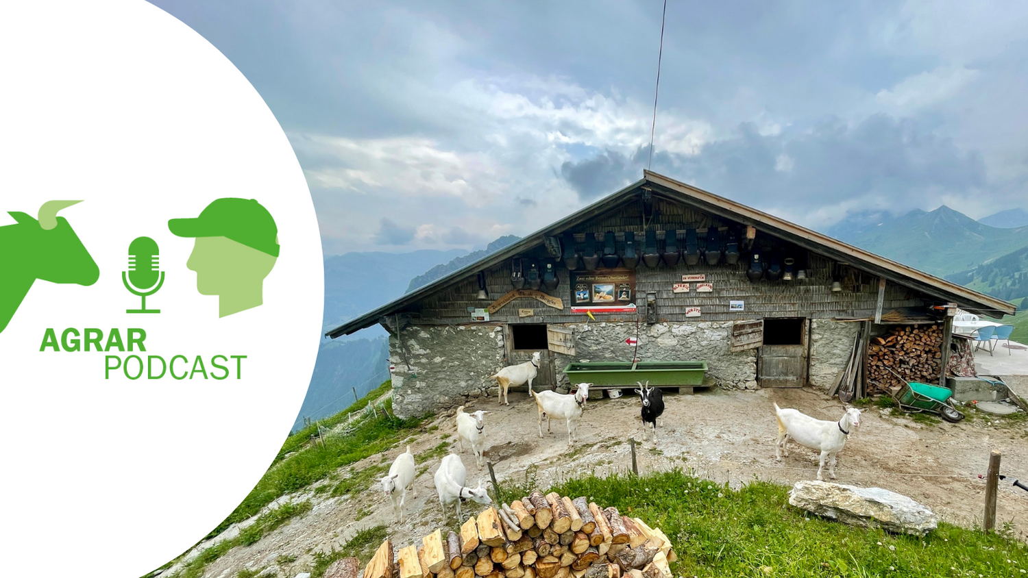 «AgrarPodcast» Episode 11: Alpwirtschaft, Bauerngarten und Bio-Pionier Fredi Strasser