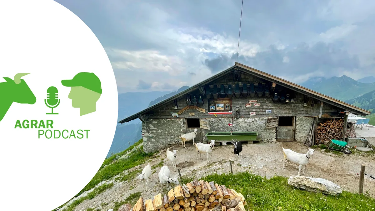 agrarpodcast_episode_11_cover «AgrarPodcast» Episode 11: Alpwirtschaft, Bauerngarten und Bio-Pionier Fredi Strasser
