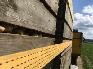 Die Paloxen-Planung basiert auf Vertragsmengen. Die diesjährige Ernte hat aber einige Besonderheiten.