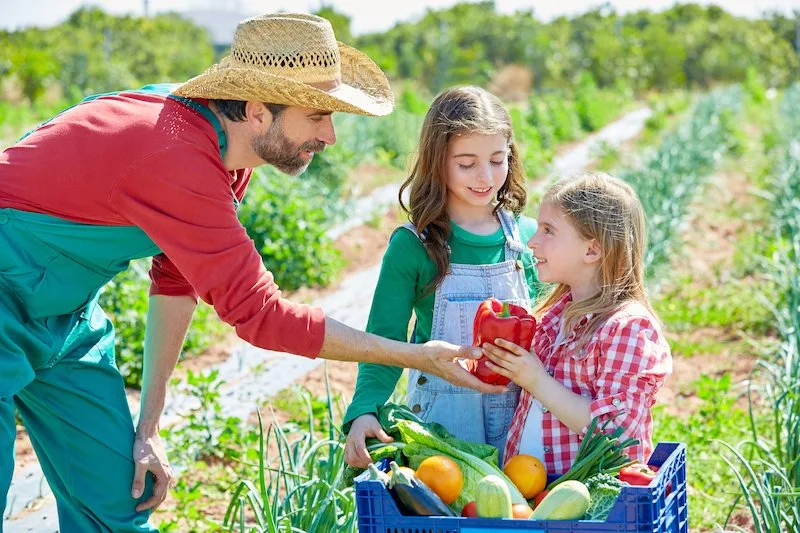 57cf33c00ac710c839230587f71a15e6f1ff5188 Arbeiten und Kinderbetreuung kann man auf einem Bauernhof kombinieren. (Bild Nicole Amrein)