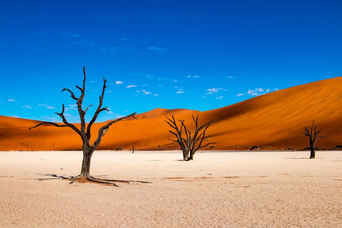 shutterstock_1038660217_sossusvlei Namibia – Faszinierende Tierwelt und facettenreiche Landwirtschaft
