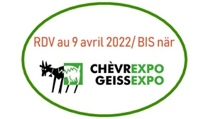 Die Geissexpo fällt dem Coronavirus schon zum zweitem Mal zum Opfer. (Bild Freiburger Schaf- und Ziegenzuchtverband)