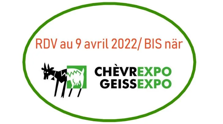 2e385d0d478e18516a34e28d66fc97ed18b7ceef Die Geissexpo fällt dem Coronavirus schon zum zweitem Mal zum Opfer. (Bild Freiburger Schaf- und Ziegenzuchtverband)