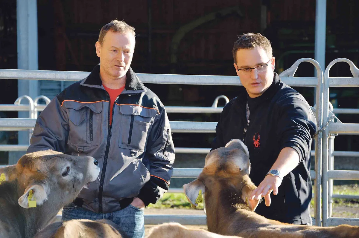 df283eb836aa4537aaa605695282f9954e5d47e8 Berater Markus Stucki (rechts) begutachtet gemeinsam mit einem Kälbermäster die Tiere. (Bilder Tamara Wülser)