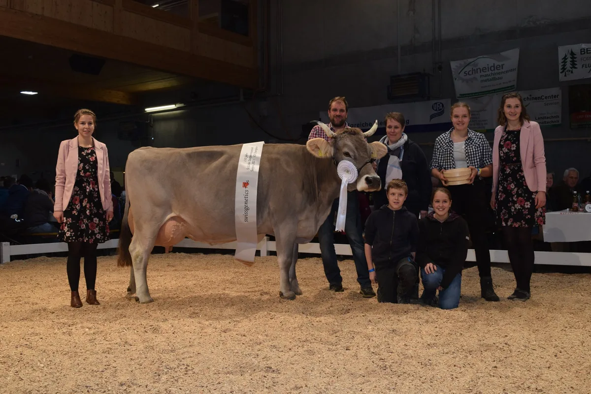jubila__umsschau_sg_miss_ob Toggenburger brillierten an der Jubiläumsschau