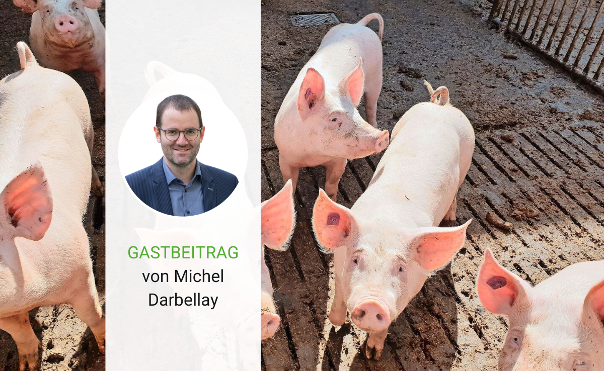 Vollkosten müssen gedeckt sein