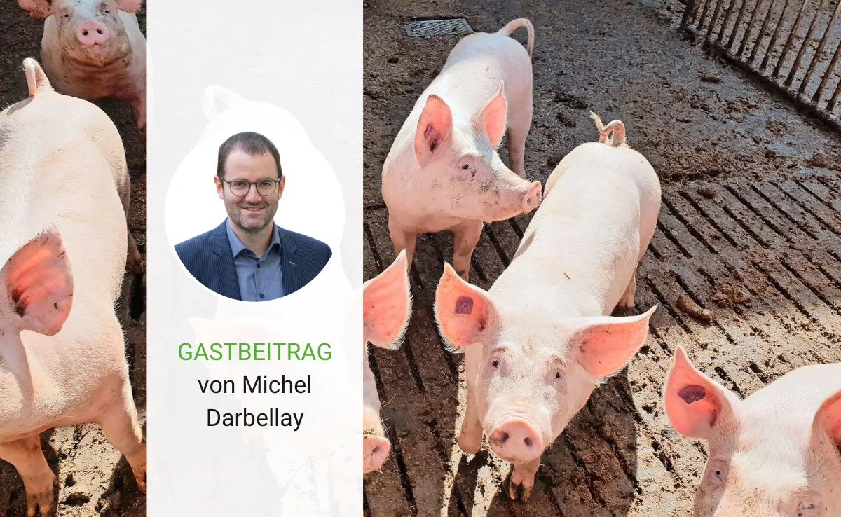 Artikel_Gastbeitrag_BauZ_Darbellay Vollkosten müssen gedeckt sein