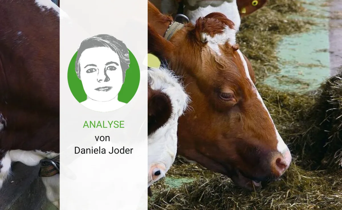 analyse-joder-32 Die Winterfütterung wird zur Herausforderung