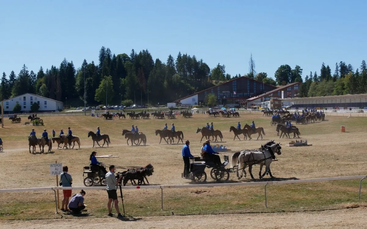 csm_MC_Aargau_d3c6ccba2a «Marché-Concours» in Saignelégier beginnt mit drei Unfällen