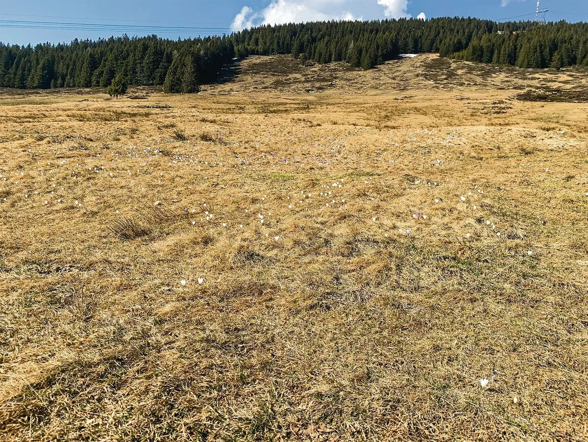 Der Monat März war eine wahre Durststrecke
