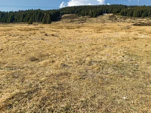 Der Natur ist anzusehen, dass es im März praktisch nicht geregnet hat.