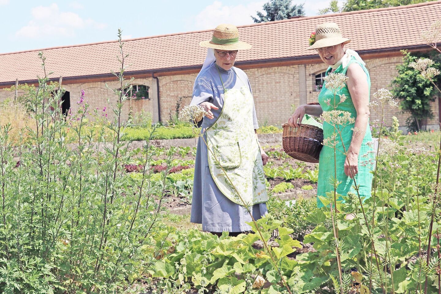 Kräuterkundige: Brigitte Waser von der Heilpflanzenschule Sattel (rechts) besucht die Gartenführung auch mit ihren Schülerinnen.