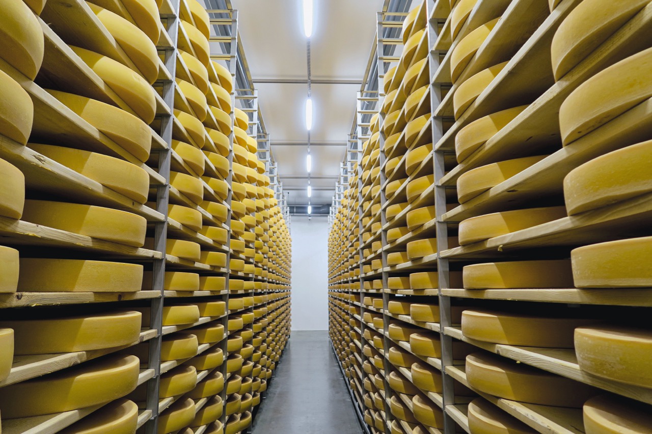 Die Milchproduktion und die Zahl der Milchproduzenten sind 2019 gesunken, die Produktion pro Betrieb ist weiter gestiegen. Bild: Jürg Vollmer