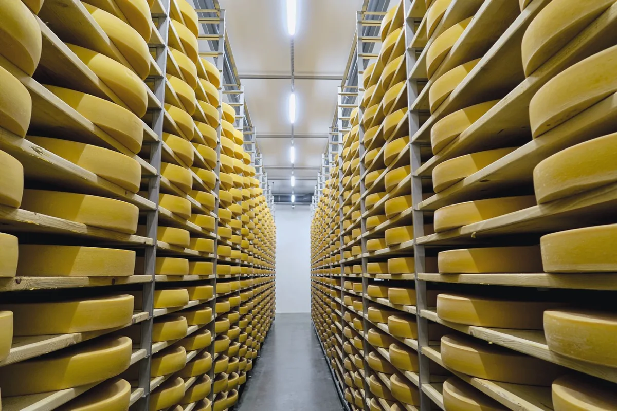 b1c2d62989927caa8b3b2d42c4c3503590d1e7ef Die Milchproduktion und die Zahl der Milchproduzenten sind 2019 gesunken, die Produktion pro Betrieb ist weiter gestiegen. Bild: Jürg Vollmer