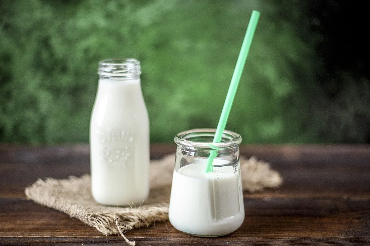 milk-ga1bc3aa34_1280 Mit der Milch in die Freiheit