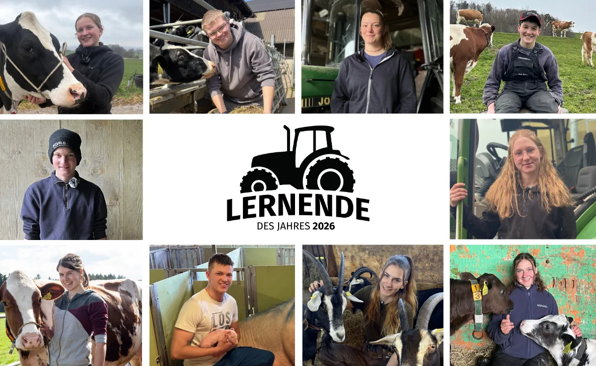 BZ_-_LDJ_Voting_Landingpage Wählen Sie Ihre Favoritin oder Ihren Favoriten bei «Lernende des Jahres 2026»