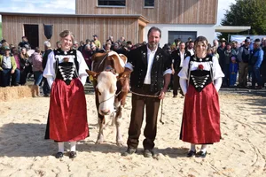 Die höchste Lebensleistung: Schönegg Bjöern Fabia (55 55 98) von der GG Berger aus Burgistein leistete bisher 150 739 kg Milch.