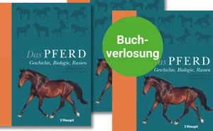 «Das Pferd» von Debbie Busby und Catrin Rutland.