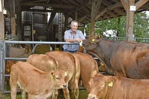 Im Herzen ist Martin Schlup Landwirt geblieben. Neben dem Ackerbau ist auch die Mutterkuhhaltung ein wichtiger Betriebszweig auf seinem Betrieb auf dem Schüpberg.