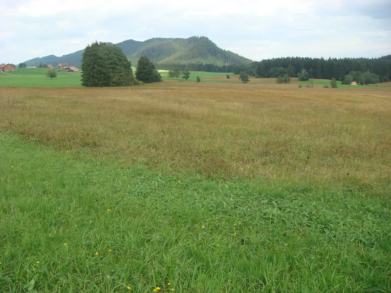 f57ab388ca6cca6af36c885516149b618c27695f In den Pufferzonen am Rand von Naturschutzobjekten werde mancherorts trotzdem gegüllt, schreibt BirdLife. Dies führe zu einer Verarmung der Flora und Fauna. (Bild Bird Life Schweiz)