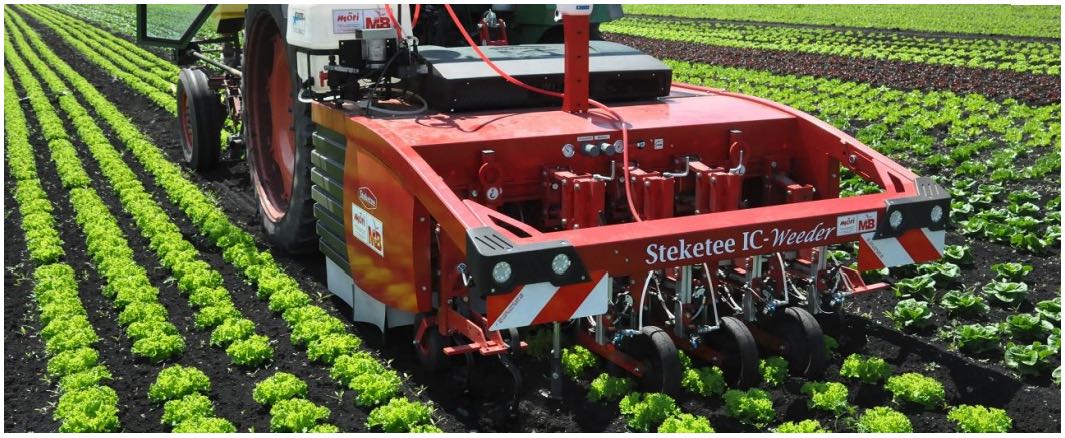 Beim Projekt wurde ein weiterentwickelter Prototyp des Steketee IC Weeders getestet. (Bild VSKP)