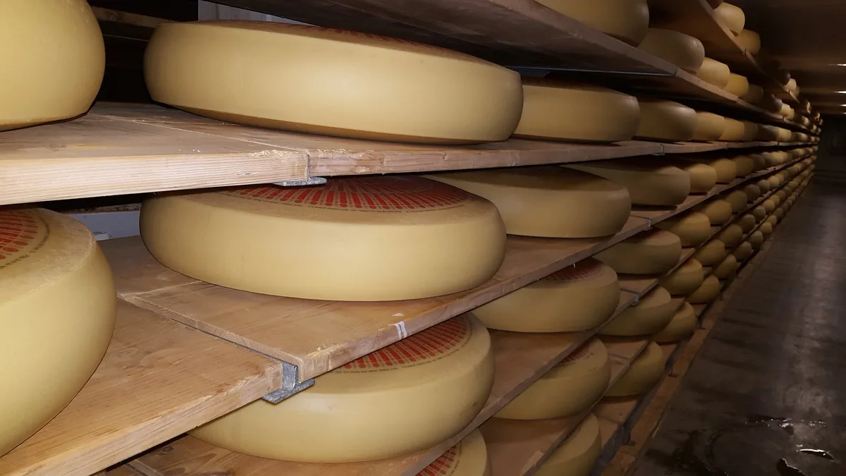 ka__se-regal Neues Kompetenzzentrum für Rohmilchprodukte soll Käse weiterentwickeln