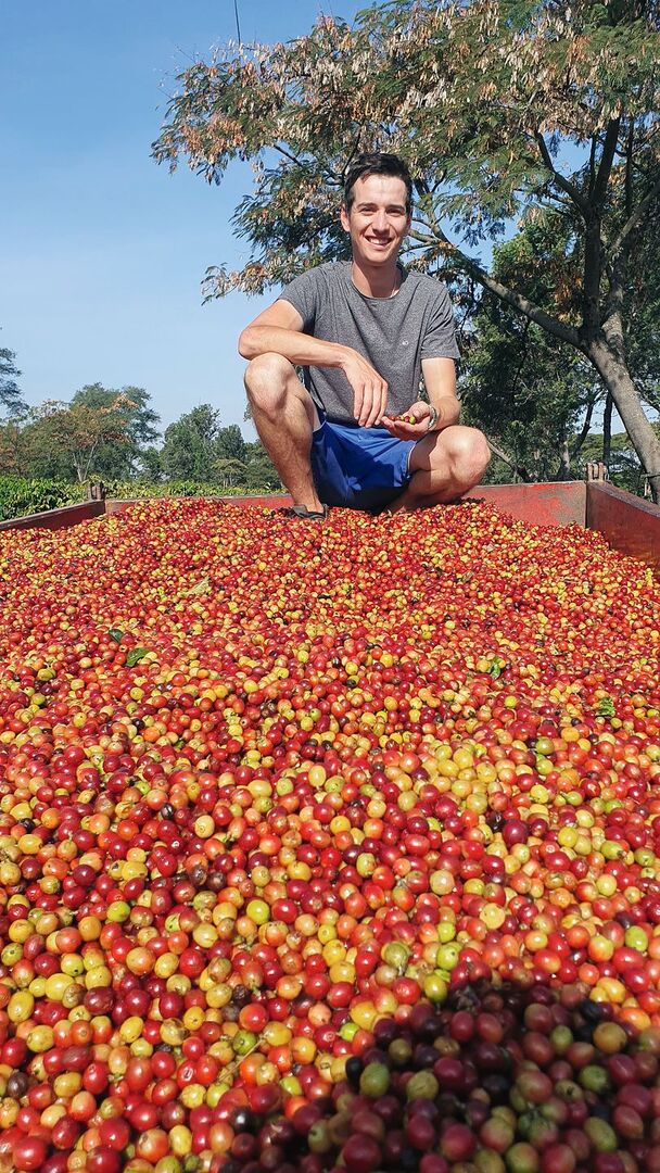 Hannes Ziegler mit frisch geernteten Kaffeebohnen in Tansania. Die Utengule-Farm nimmt auch nächstes Jahr Praktikanten auf.