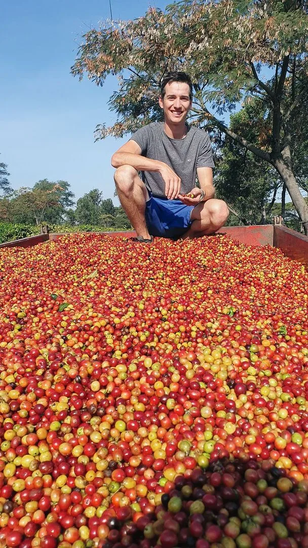Hannes Ziegler mit frisch geernteten Kaffeebohnen in Tansania. Die Utengule-Farm nimmt auch nächstes Jahr Praktikanten auf.