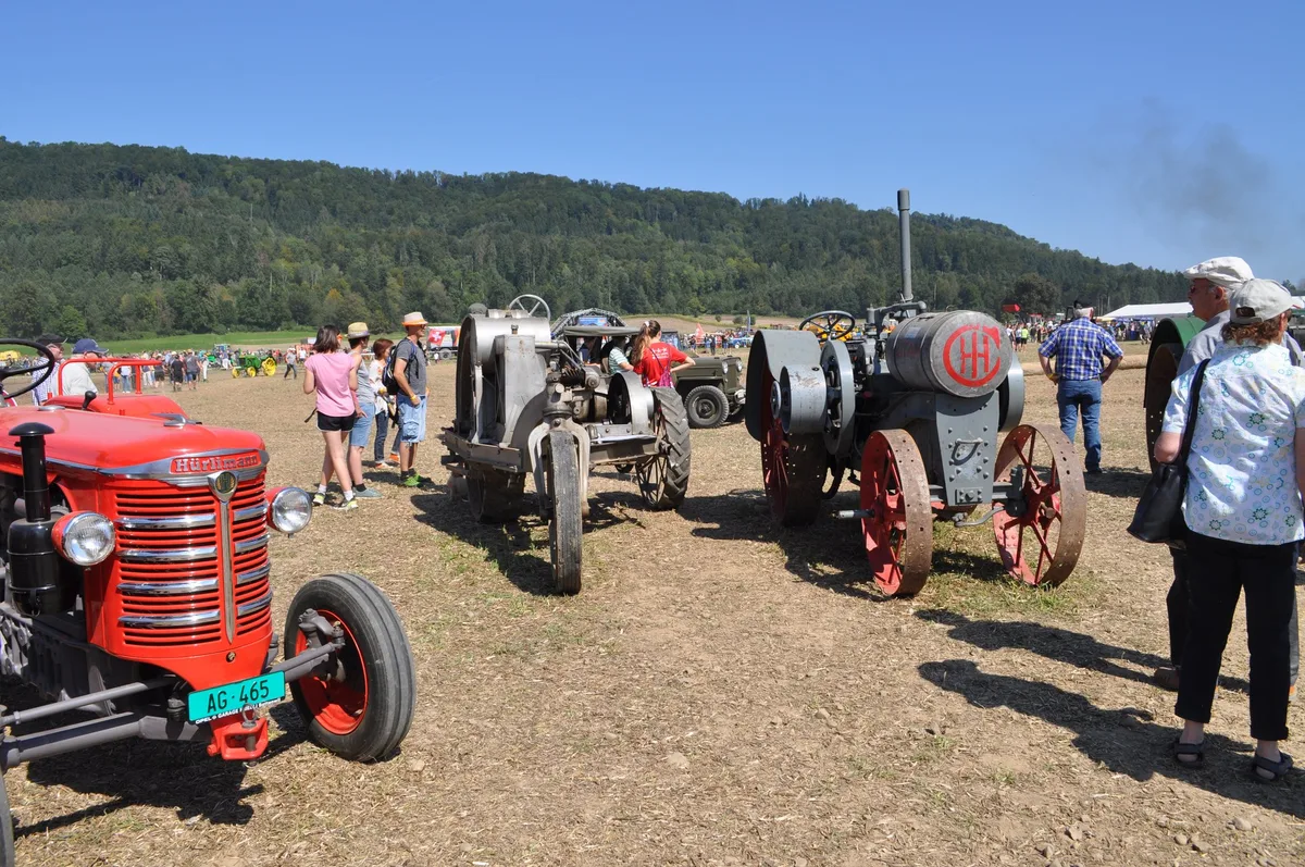 Möriken als Eldorado der Oldtimerfans