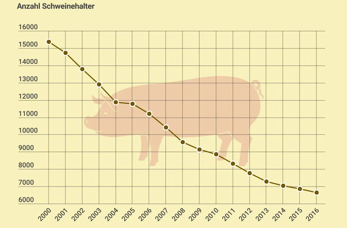86e6b63a7cccf0847eaceb9501981c4cd1c34f14 Immer weniger Schweinehalter in der Schweiz, aber die Anzahl Tiere bleibt in etwa konstant. (Grafik lid)