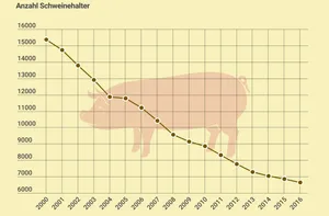 Immer weniger Schweinehalter in der Schweiz, aber die Anzahl Tiere bleibt in etwa konstant. (Grafik lid)