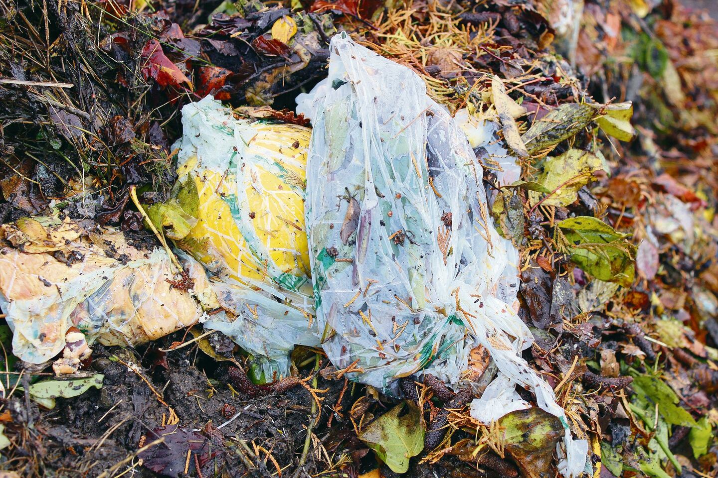 Es gibt Hinweise darauf, dass die Endprodukte von biologisch abbaubaren Kunststoffen tendenziell stärkere toxische Effekte erzeugen als die Rohstoffe, aus denen sie gewonnen werden. Solche «biologisch abbaubaren» Tüten sind oftmals gar nicht abbaubar.