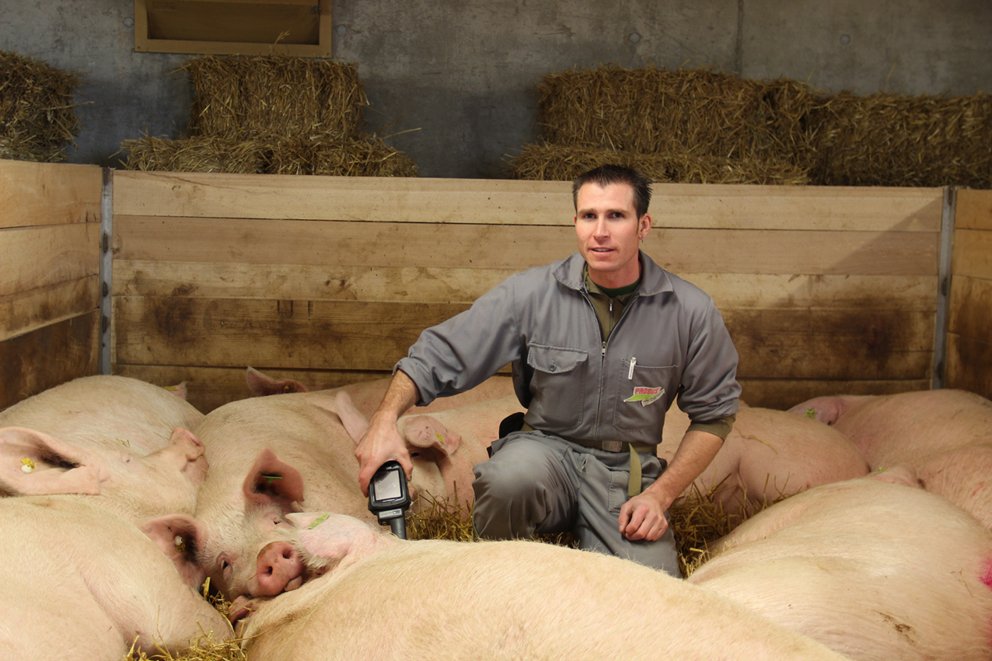 Peter Anderhub trägt bei seinen Stalldurchgängen jeweils einen Handterminal auf sich. Der Tierhalter kann so die Futtermenge individuell vor Ort korrigieren und weitere Daten abrufen. (Bilder mf)