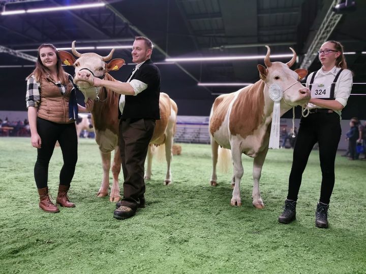 Die Berner Jungzüchter wählen an der Junior Expo ihre Missen