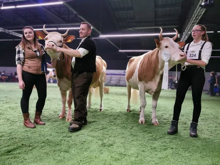 317317257_1802570073474837_5520560385986464098_n Die Berner Jungzüchter wählen an der Junior Expo ihre Missen
