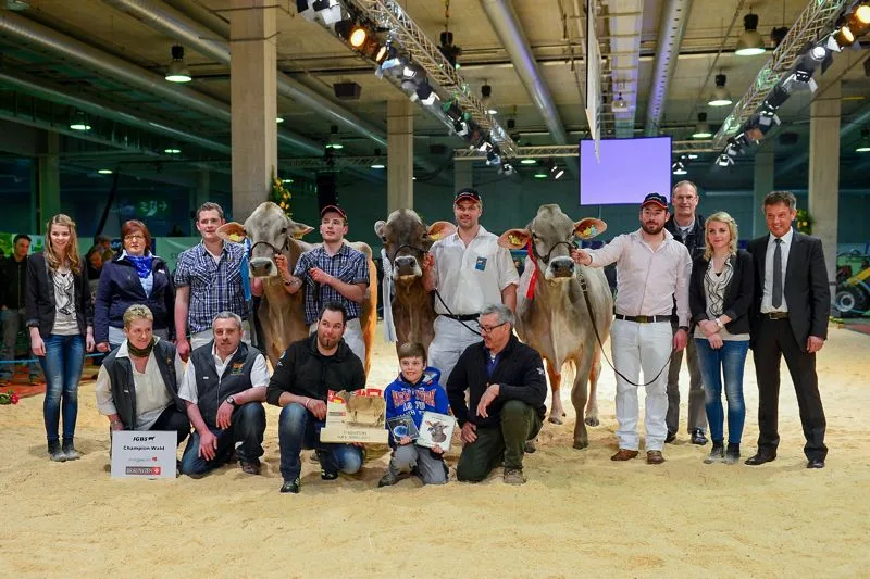 bcb4fd21a1015707d823bdb70ffa5820f3080c0f Grand Champion: Stuppan’s Gilberto Pilla, Georg Florin und Tönet Stuppan, Serneus (Mitte); Reserve-Grand-Champion: Langenhard’s Agio Aspen, Urs Hofer/Thomas und Jakob Kündig, Rikon im Tösstal (rechts) und Mention Honorable: Kaderli’s Glenn Gwendy, Erich Kaderli, Götighofen. (Bilder zVg)