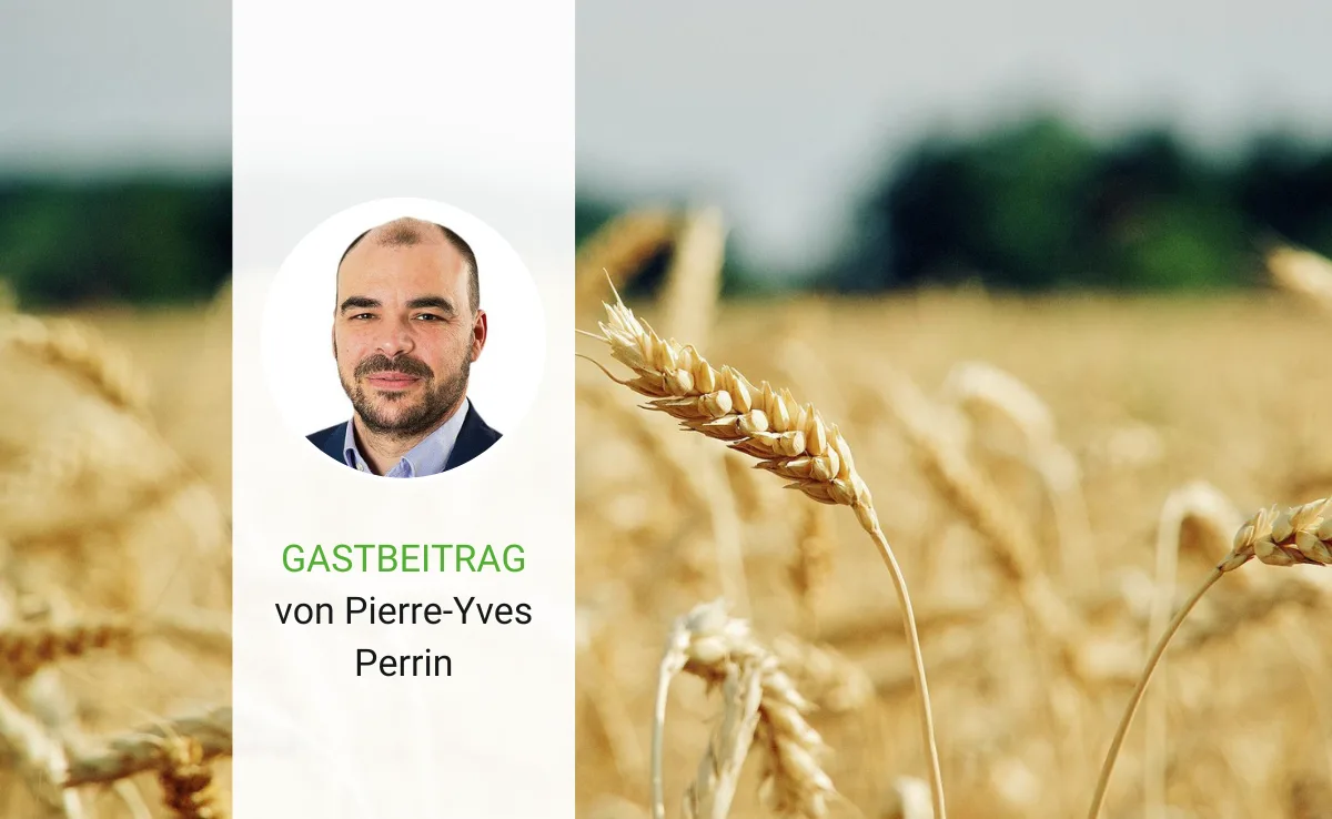 gastbeitrag-perrin-38 Der Getreidemarkt ist komplex wie nie