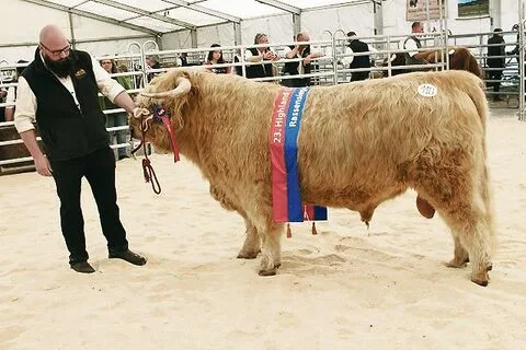 Siegerstier Dynamo von Barong mit Markus Tschan, Leiter Landwirtschaft, Zentrum Erlenhof, Reinach BL.