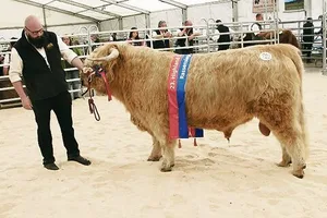 Siegerstier Dynamo von Barong mit Markus Tschan, Leiter Landwirtschaft, Zentrum Erlenhof, Reinach BL.