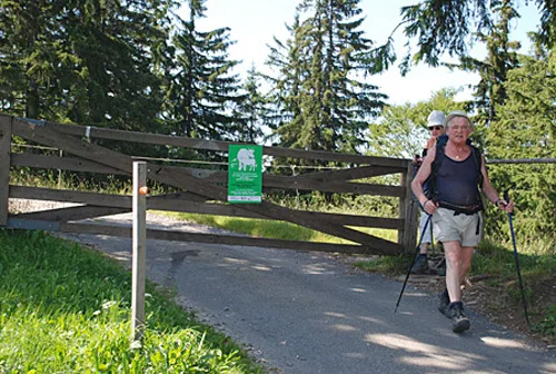 1efe9aabd65afdef15af004e6e30506229a365df Die offizielle Warntafel der BUL macht Wandernde auf den Mutterinstinkt der Kühe aufmerksam. (Bild BUL)